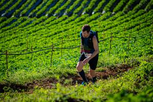 BIB: 1203
                            <button type="button" onclick="openModal(19160617)" class="btn btn-primary btn-sm float-right btn-popup" data-toggle="modal" data-target=".modal-high-quality">
                        <i class="fas fa-shopping-cart"></i> Add to Cart
                    </button>
                                            <button type="button" onclick="isThisMe(19160617, true)" class="btn btn-success btn-sm float-right btn-popup btn-isme hidden" data-toggle="tooltip" data-placement="bottom" title="นี่คือรูปของคุณใช่ไหม คลิกที่นี่เพื่อเอาเข้าอัลบั้ม">
                        <i class="fas fa-plus"></i> Add to album
                    </button>
                    <button type="button" onclick="isThisMe(19160617, false)" class="btn btn-warning btn-sm float-right btn-popup btn-isnotme hidden">
                        <i class="fas fa-ban"></i> Remove from album
                    </button>